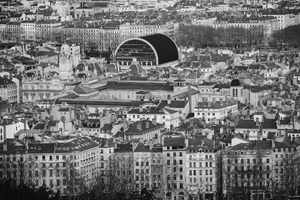 Traitement punaises de lit Grande-Synthe